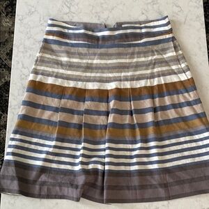 Striped Multicolor Women's Skirt